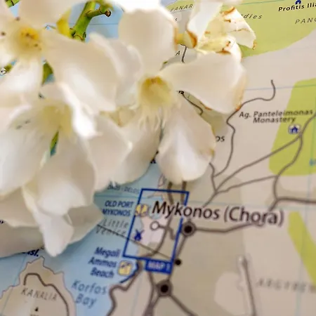 Apartamento Le Coq Mykonos Town