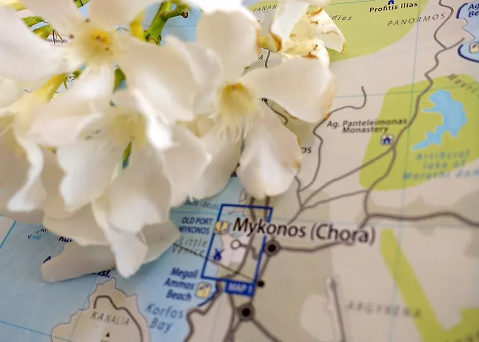 Διαμέρισμα Le Coq Mykonos Town